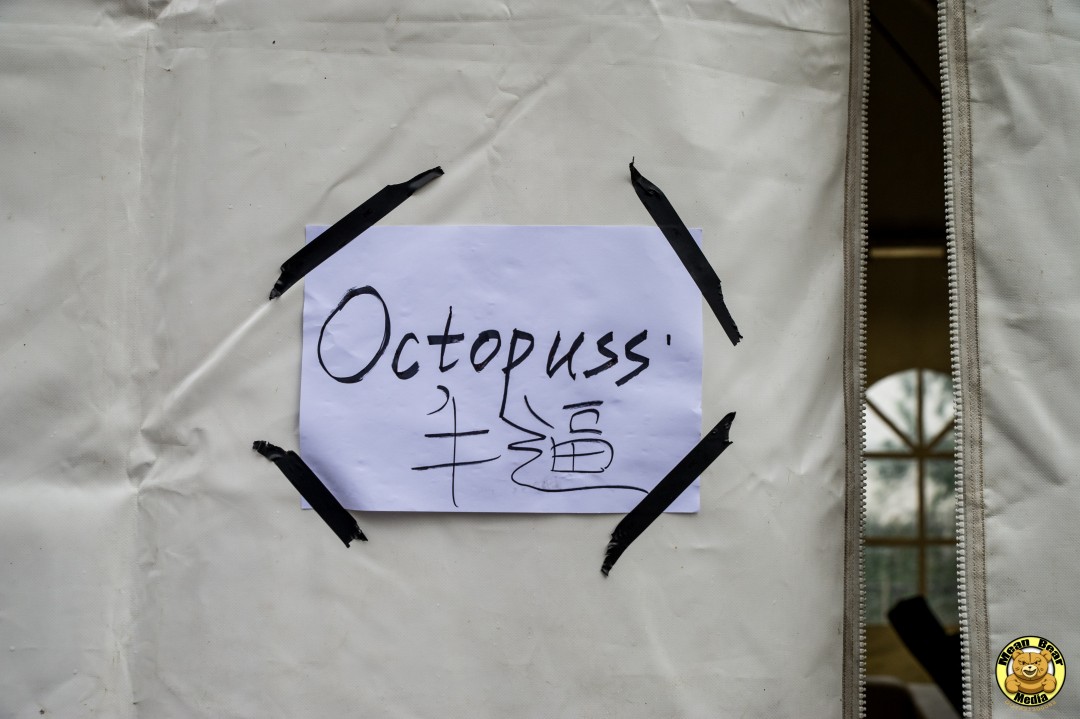D3S_9156 Octopuss