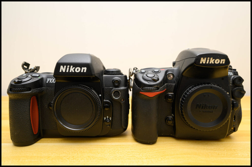 Nikon F100 Camera Review | Mean Bear Media