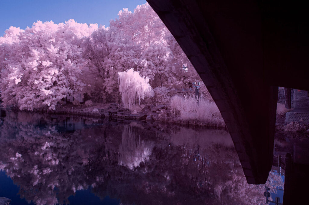 DSC_0522-Edit-1024x682 Trying Infrared photography
