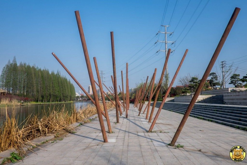 DSCF0169-1024x683-1024x683 Zhenjiang Dingmao river wetland protection area