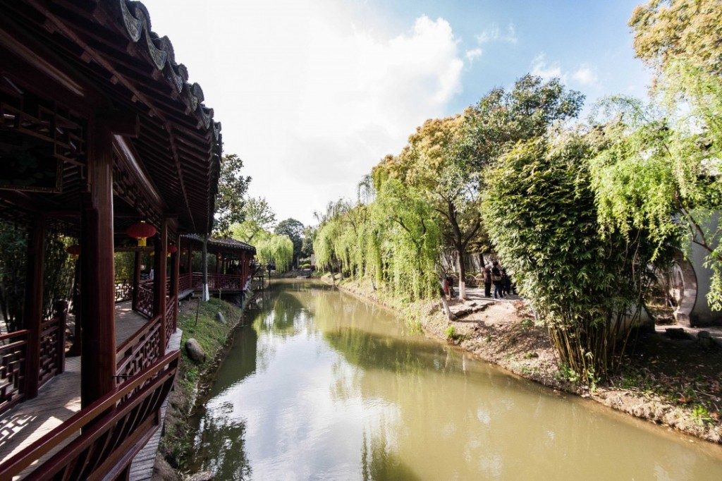 DSC_4301-1024x682-1024x682 Calming Garden Suzhou China