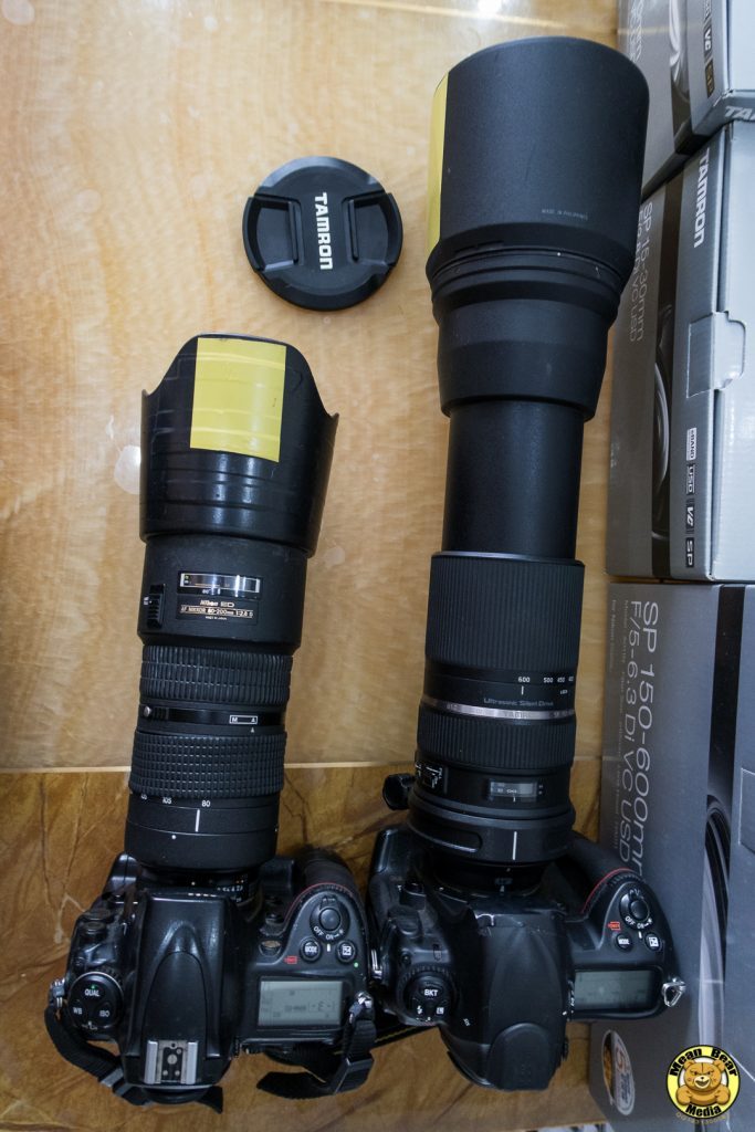 Tamron SP 150-600mm F/5-6.3 Di VC USD Review | Mean Bear Media
