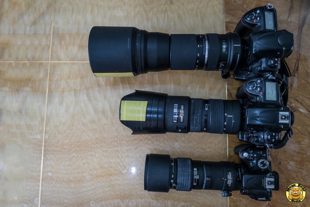 IMG_0034-1024x683-1024x683 Tamron SP 150-600mm F/5-6.3 Di VC USD Review