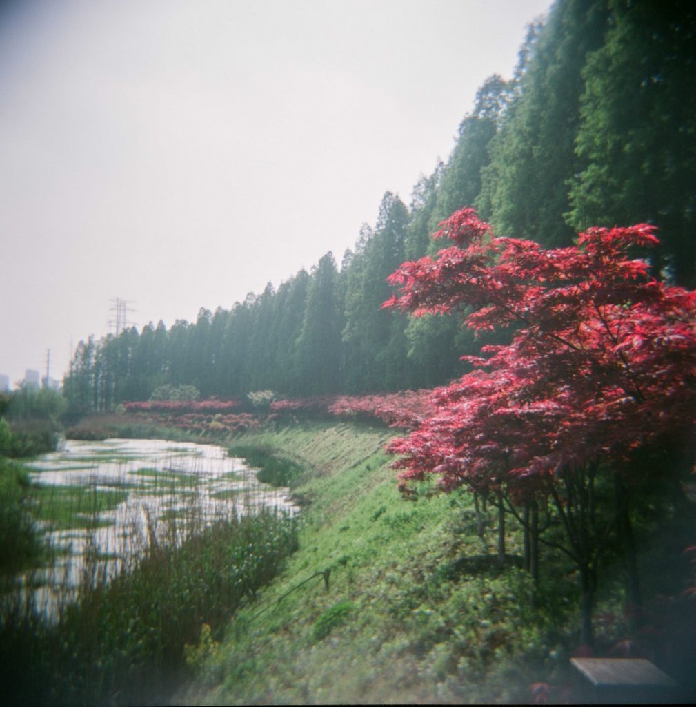 未标题-512-1009x1024-1009x1024 Holga Shooting