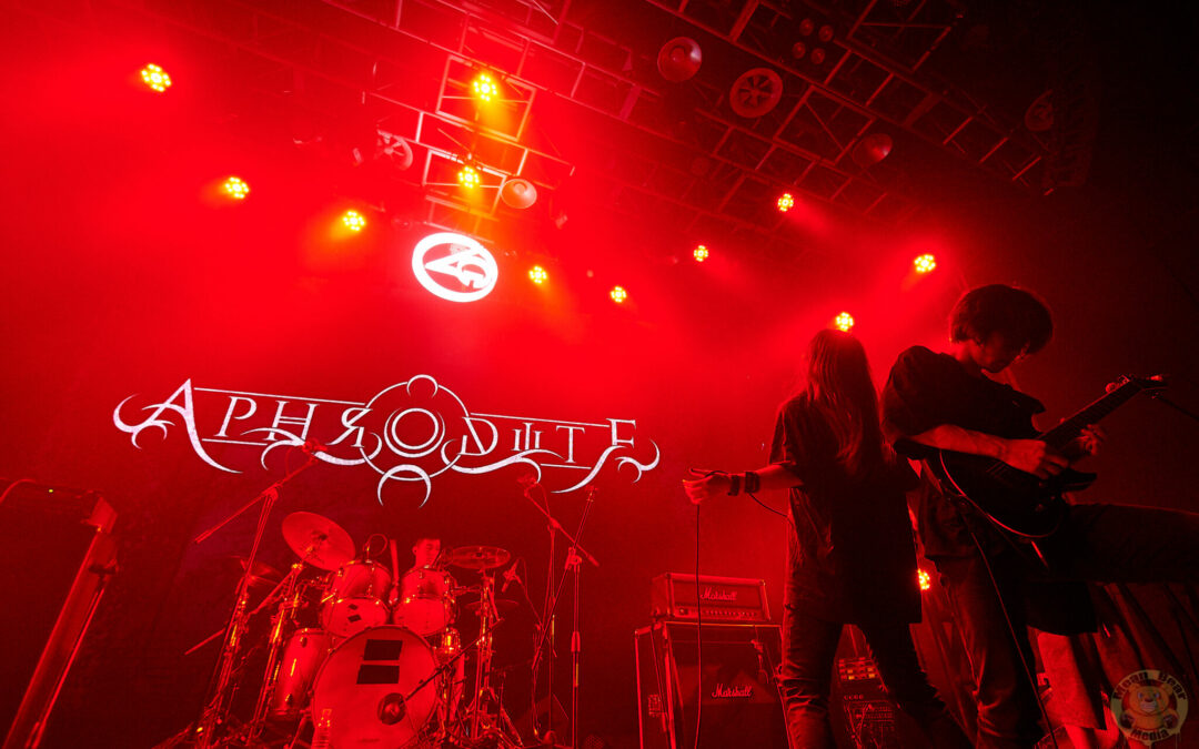 Aphrodite乐队 playing at Ola Livehouse in Nanjing China 2019