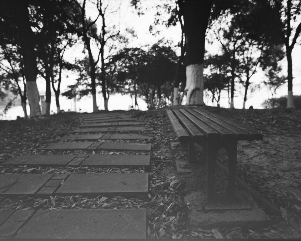 19-09-02X-E3-1-1024x683 Canon CanoScan 9000F Mark II review
