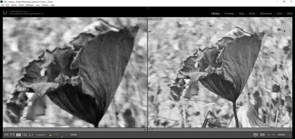 19-09-02X-E3-1-1024x683 Canon CanoScan 9000F Mark II review