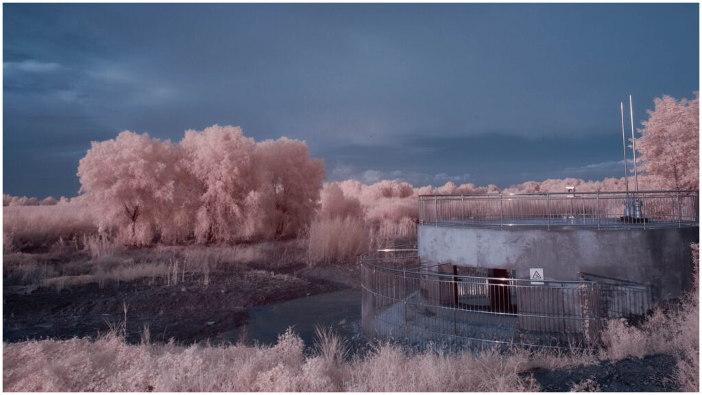DSC_0522-Edit-1024x682 Trying Infrared photography