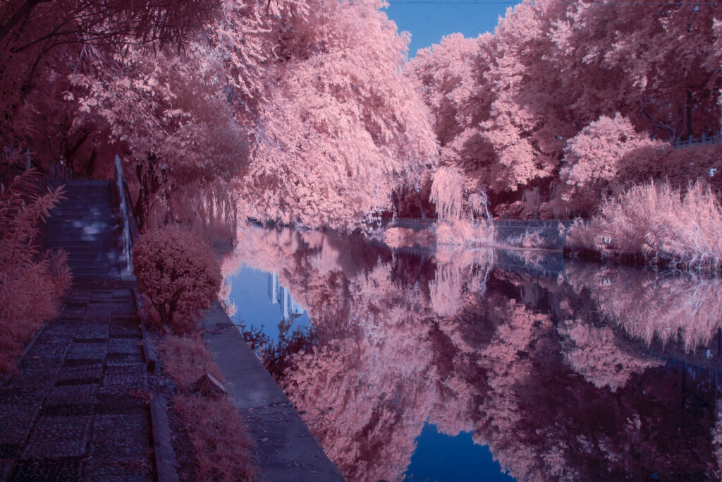 DSC_0522-Edit-1024x682 Trying Infrared photography